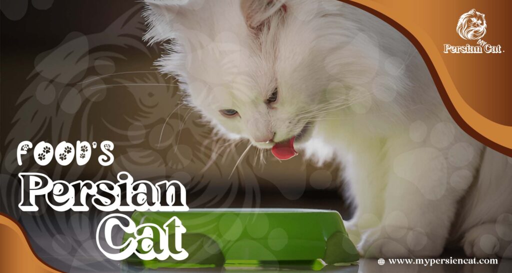 Remarkable Persian Cat Food You’ll Love
