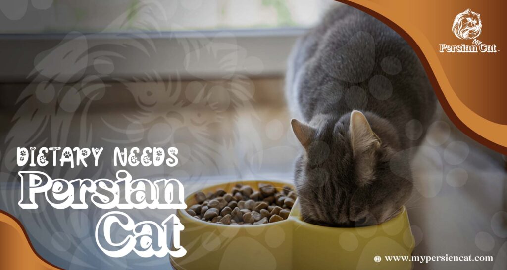 Remarkable Persian Cat Food You’ll Love
