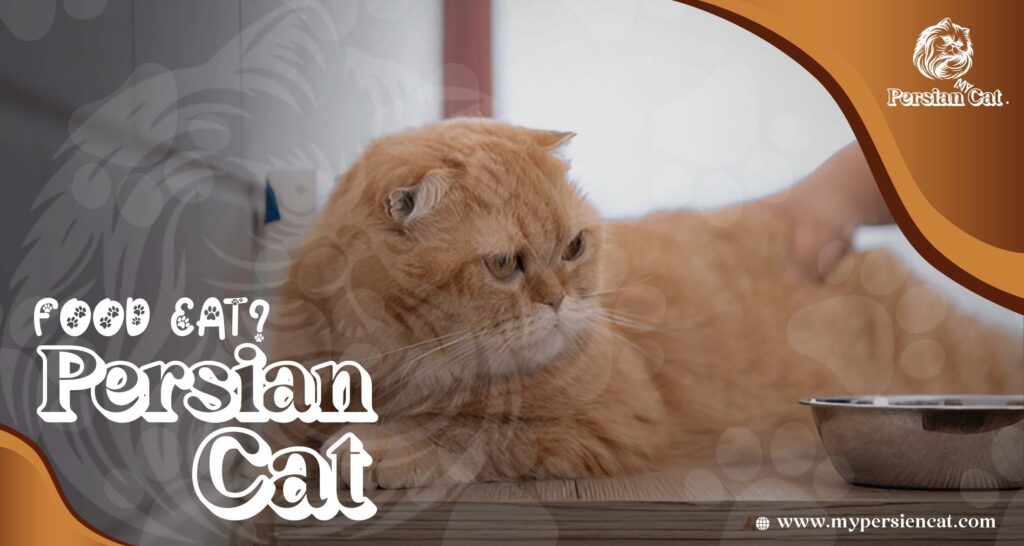 Remarkable Persian Cat Food You’ll Love
