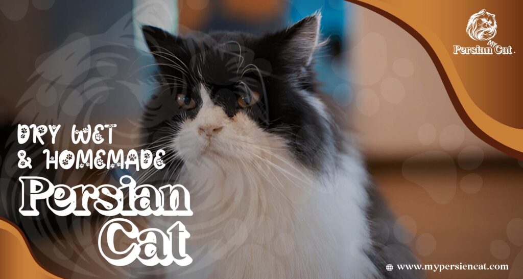 Remarkable Persian Cat Food You’ll Love
