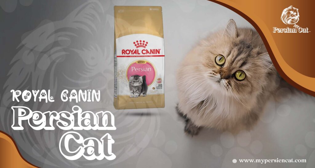 Remarkable Persian Cat Food You’ll Love
