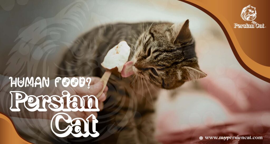 Remarkable Persian Cat Food You’ll Love
