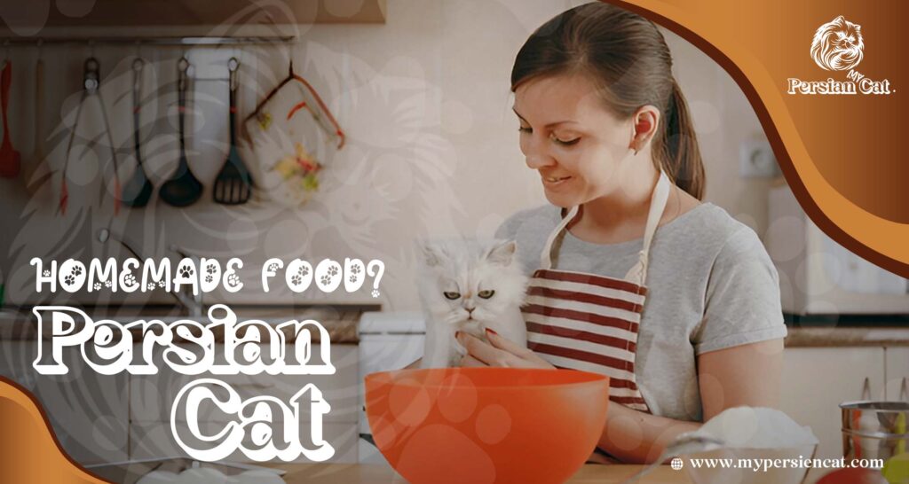 Remarkable Persian Cat Food You’ll Love
