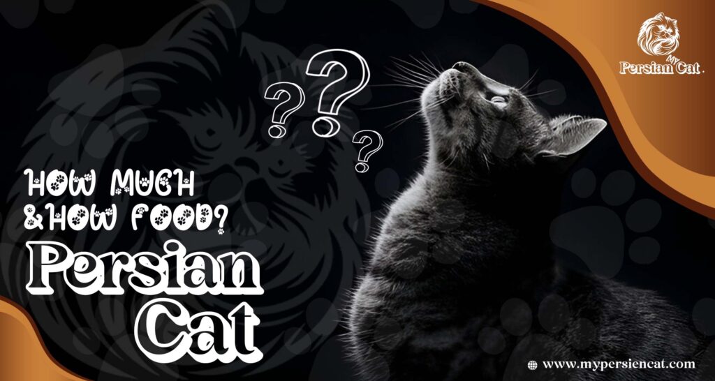 Remarkable Persian Cat Food You’ll Love
