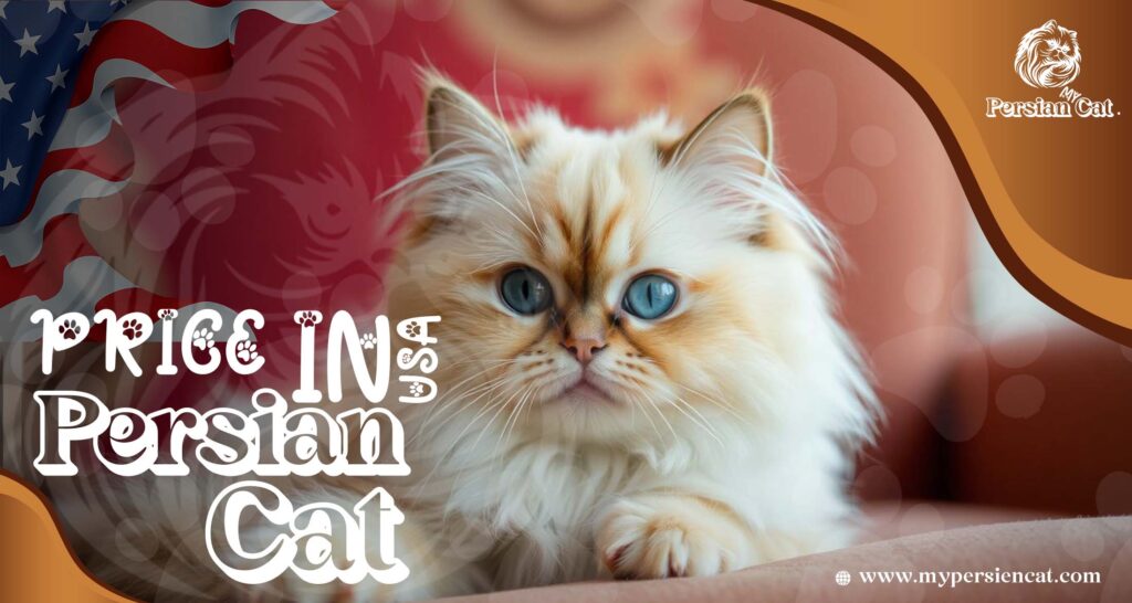 Persian Cat Price in USA: Surprising Facts You Need