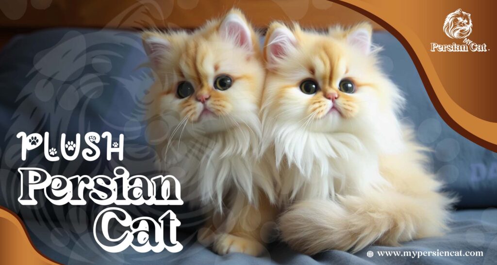 Persian Cat Plush Love: Exclusive Gift Guide