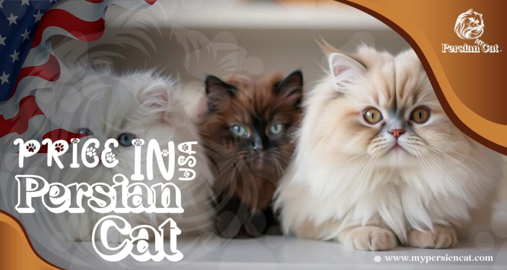Persian Cat Price in USA: Surprising Facts You Need