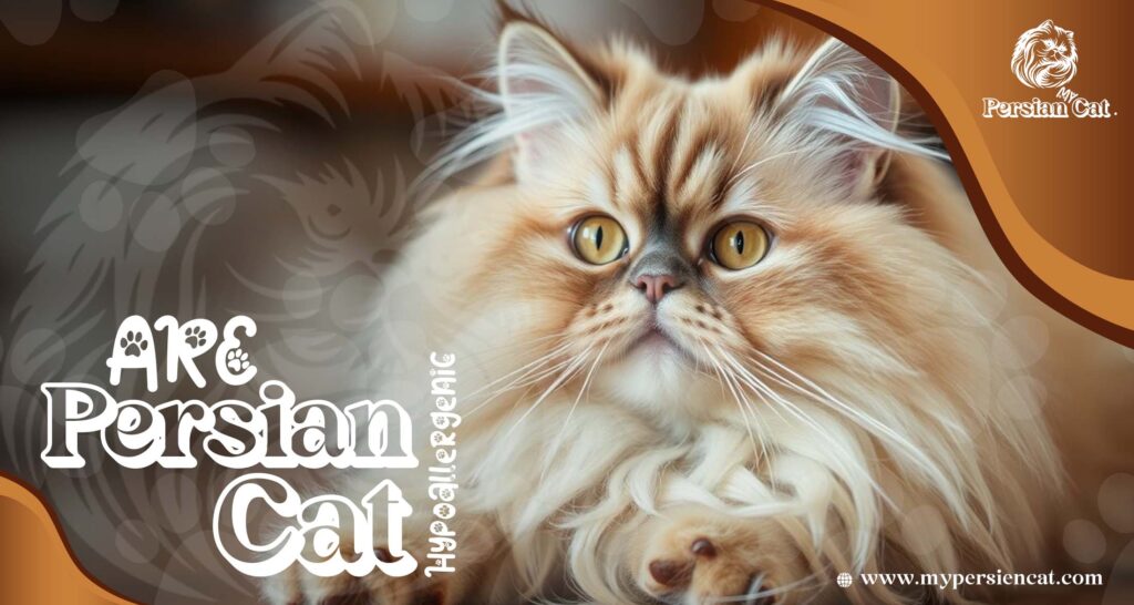 Are Persian Cats Hypoallergenic? Proven Facts You Need