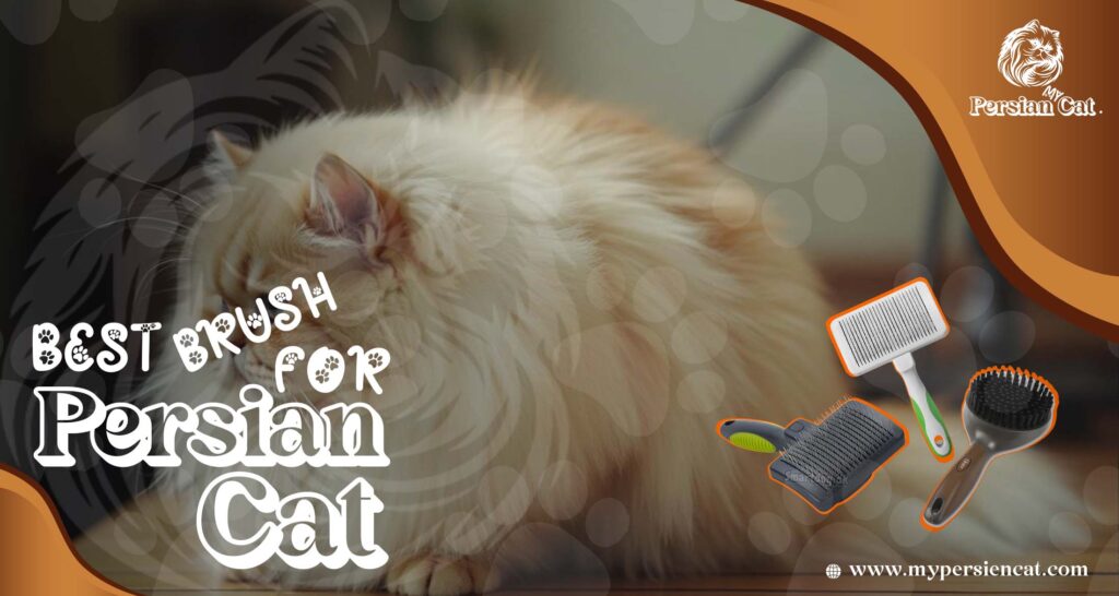 Best Brush for Persian Cat: Powerful, Happy Fur Fix