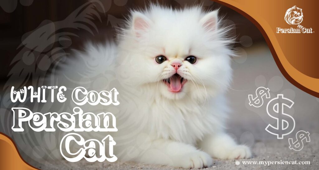 White Persian Cat Cost – Irresistibly Affordable Guide