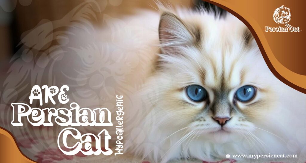 Are Persian Cats Hypoallergenic? Proven Facts You Need