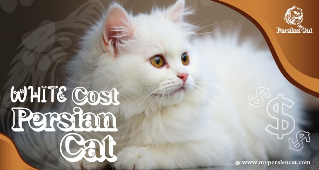 White Persian Cat Cost – Irresistibly Affordable Guide