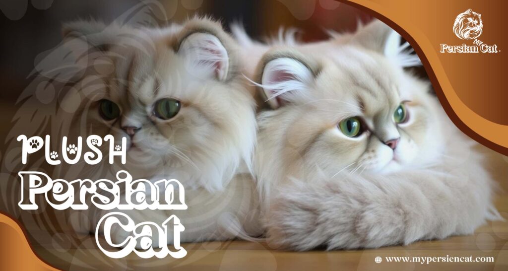Persian Cat Plush Love: Exclusive Gift Guide