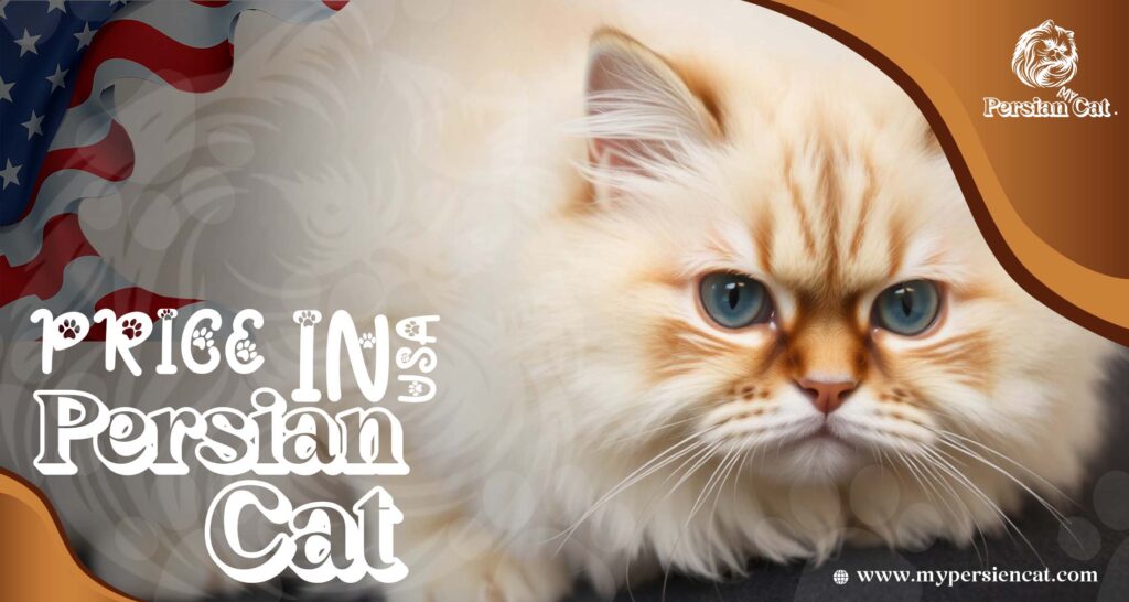 Persian Cat Price in USA: Surprising Facts You Need