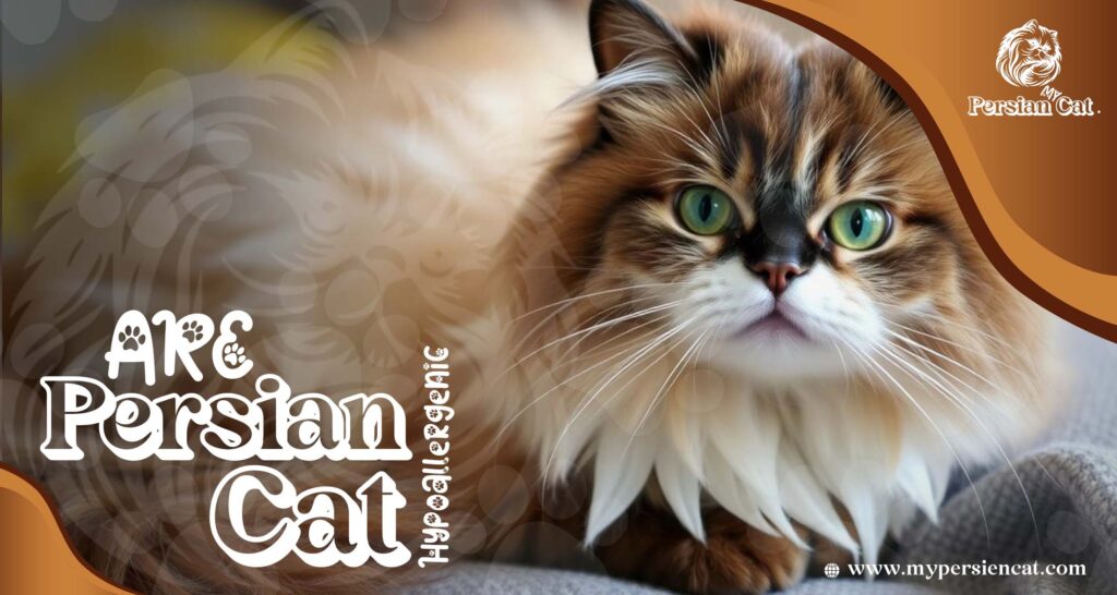 Are Persian Cats Hypoallergenic? Proven Facts You Need