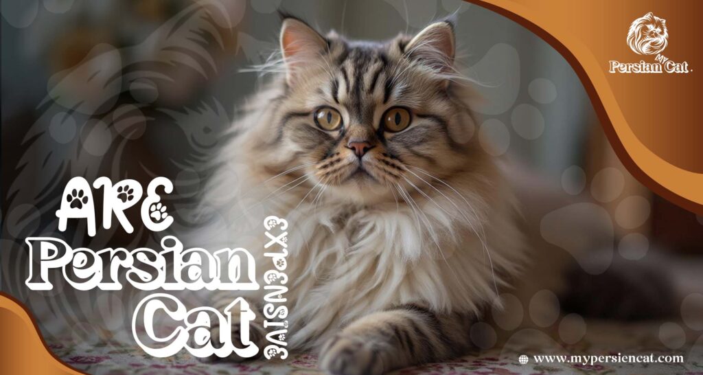 Are Persian Cats Expensive or Worth the Love?