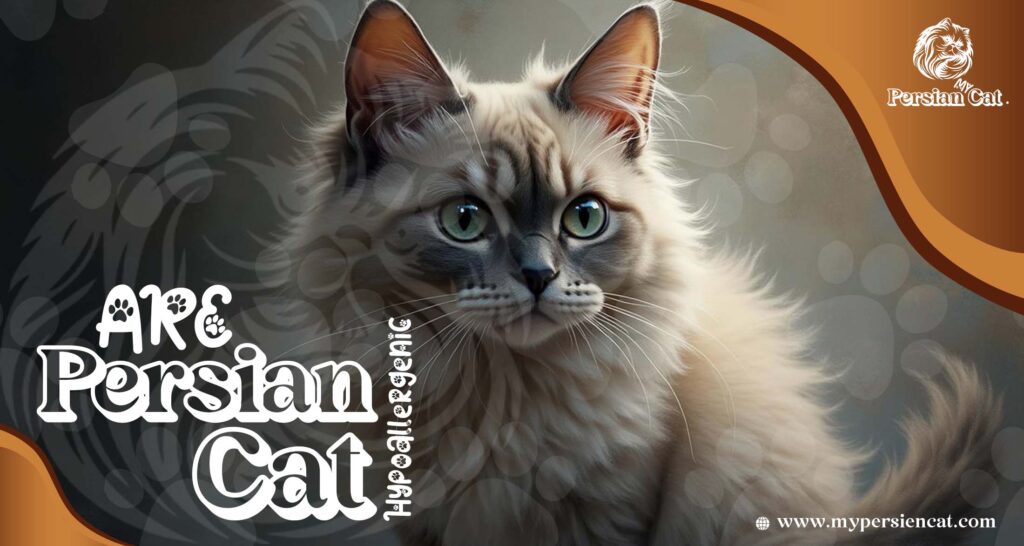 Are Persian Cats Hypoallergenic? Proven Facts You Need