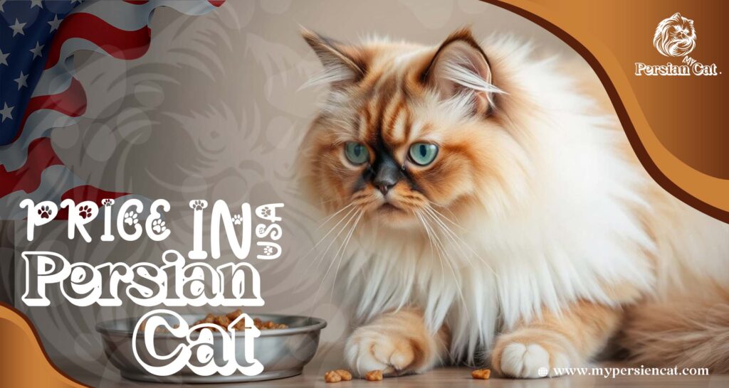 Persian Cat Price in USA: Surprising Facts You Need