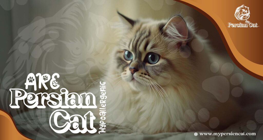 Are Persian Cats Hypoallergenic? Proven Facts You Need
