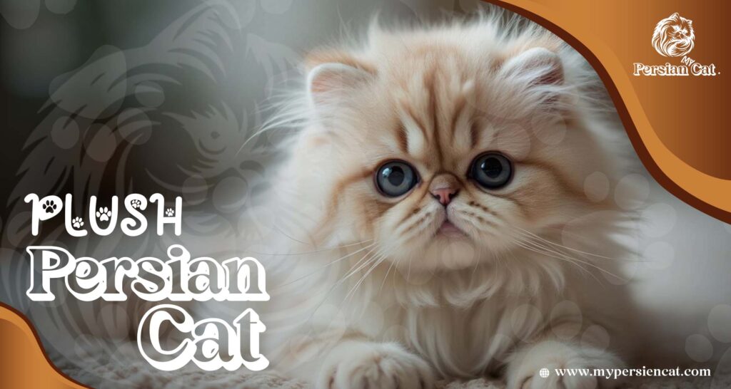 Persian Cat Plush Love: Exclusive Gift Guide