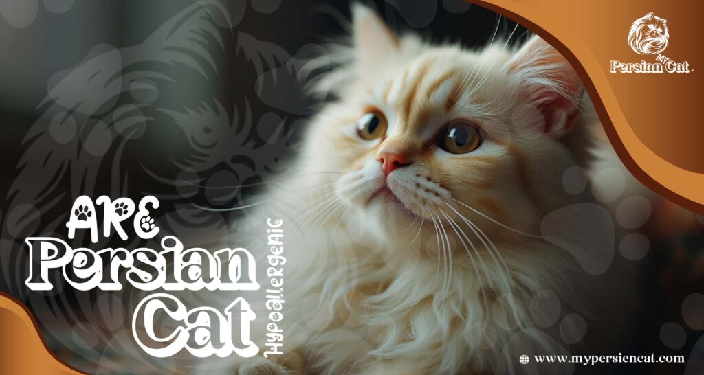 Are Persian Cats Hypoallergenic? Proven Facts You Need