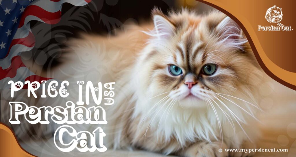 Persian Cat Price in USA: Surprising Facts You Need