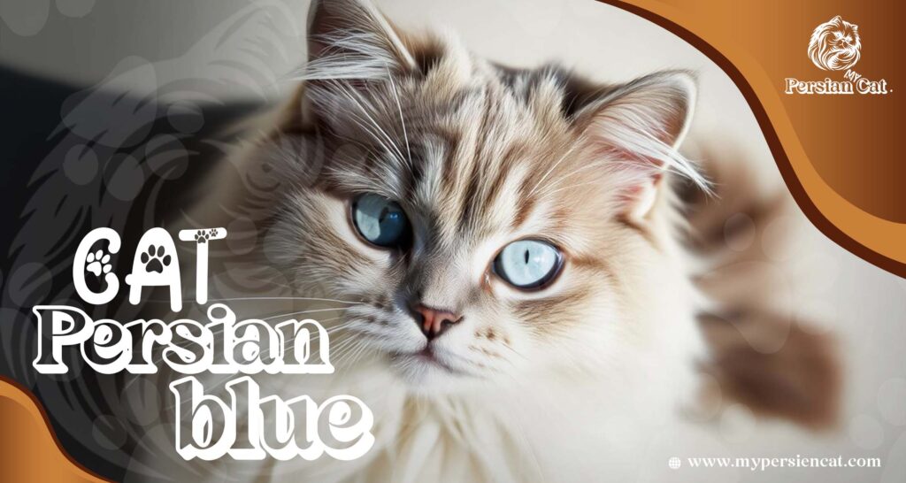 Cat Persian Blue: Amazing The Ultimate Heart Treasure