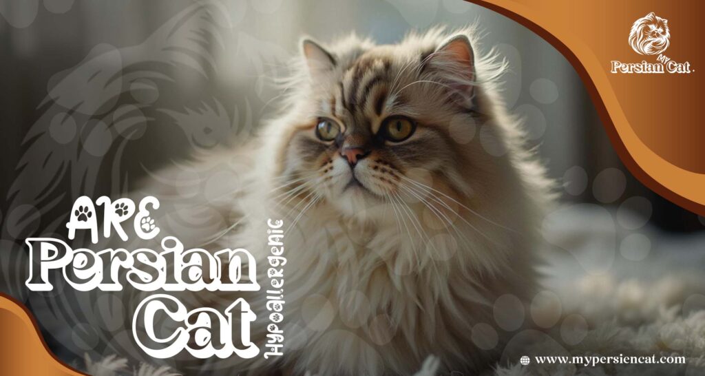 Are Persian Cats Hypoallergenic? Proven Facts You Need