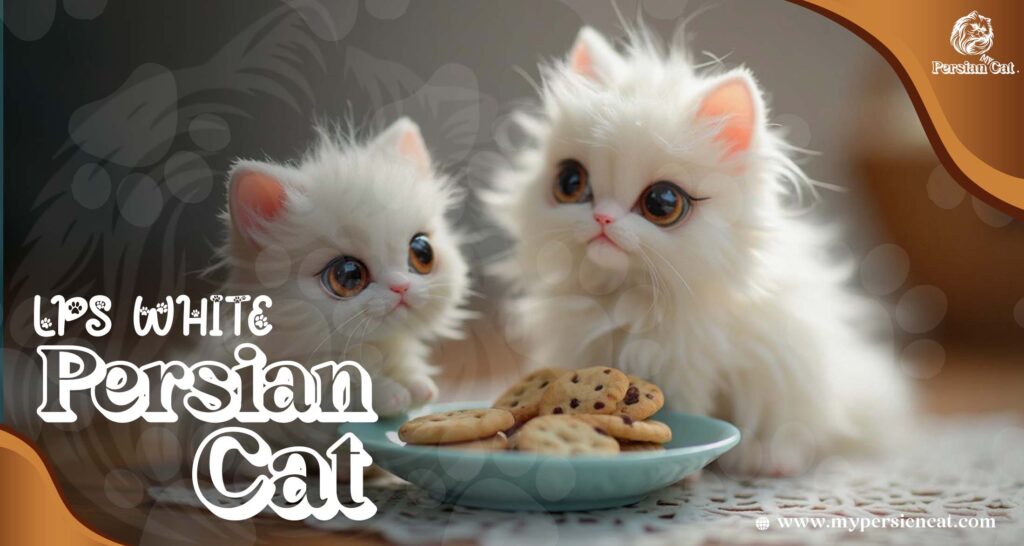 LPS White Persian Cat? Love the Read This