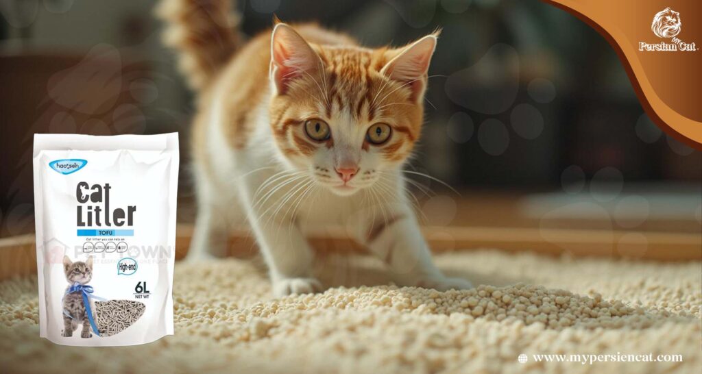 My Honest Tofu Cat Litter Review: Surprising Wins