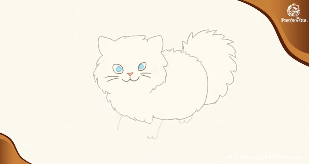 How to Draw a Persian Cat: Quick and Clear Steps