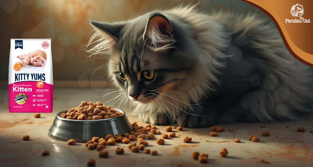 Kitty Yums Persian Dry Cat Food: My Honest Review