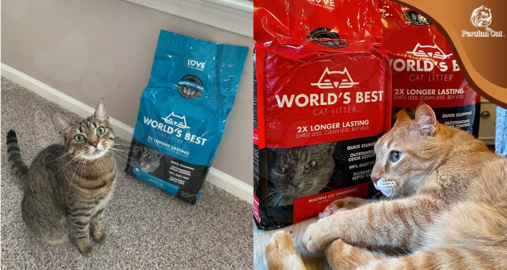 World’s Best Cat Litter Review: Love or Hype?