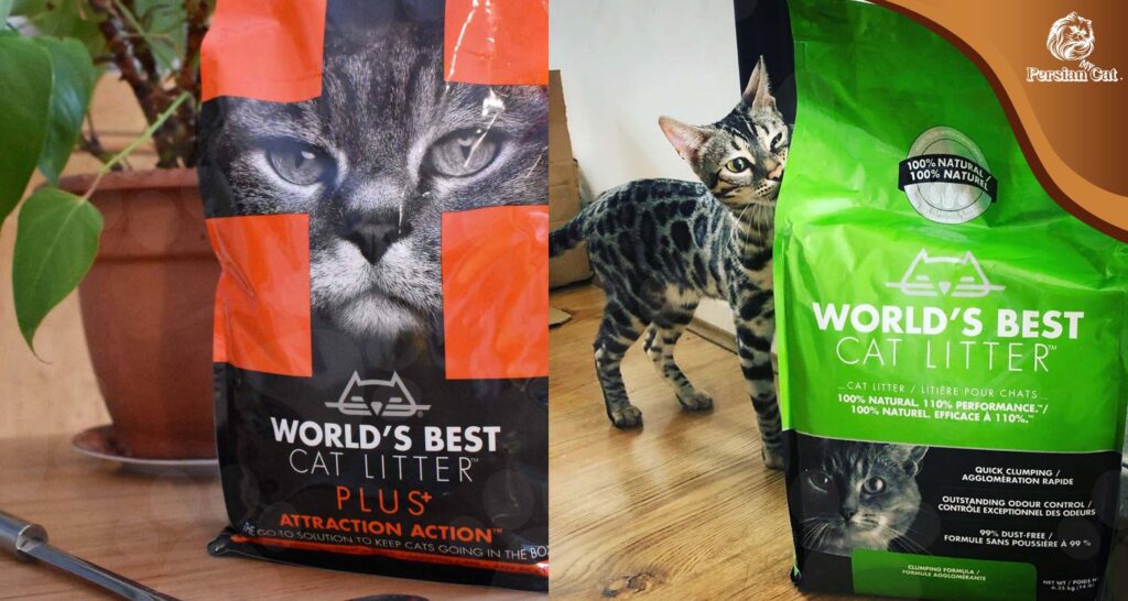 World’s Best Cat Litter Review: Love or Hype?