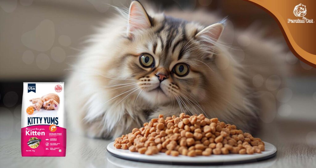 Kitty Yums Persian Dry Cat Food: My Honest Review
