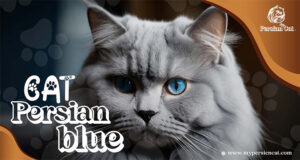 Cat Persian Blue: Amazing The Ultimate Heart Treasure