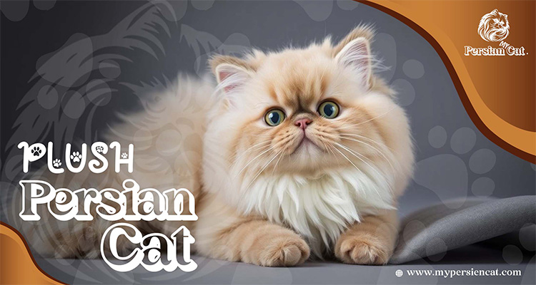 Persian Cat Plush Love: Exclusive Gift Guide