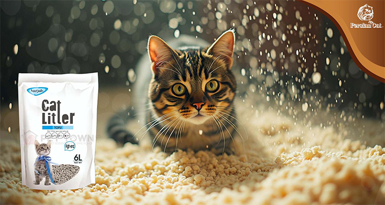 My Honest Tofu Cat Litter Review: Surprising Wins