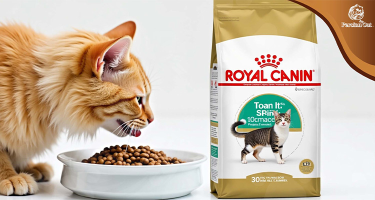 Royal Canin Cat Food Review: Powerful & Honest Take