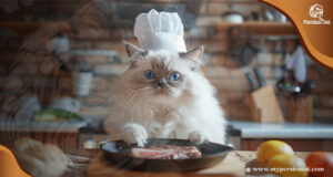 Persian Cat Food at Home