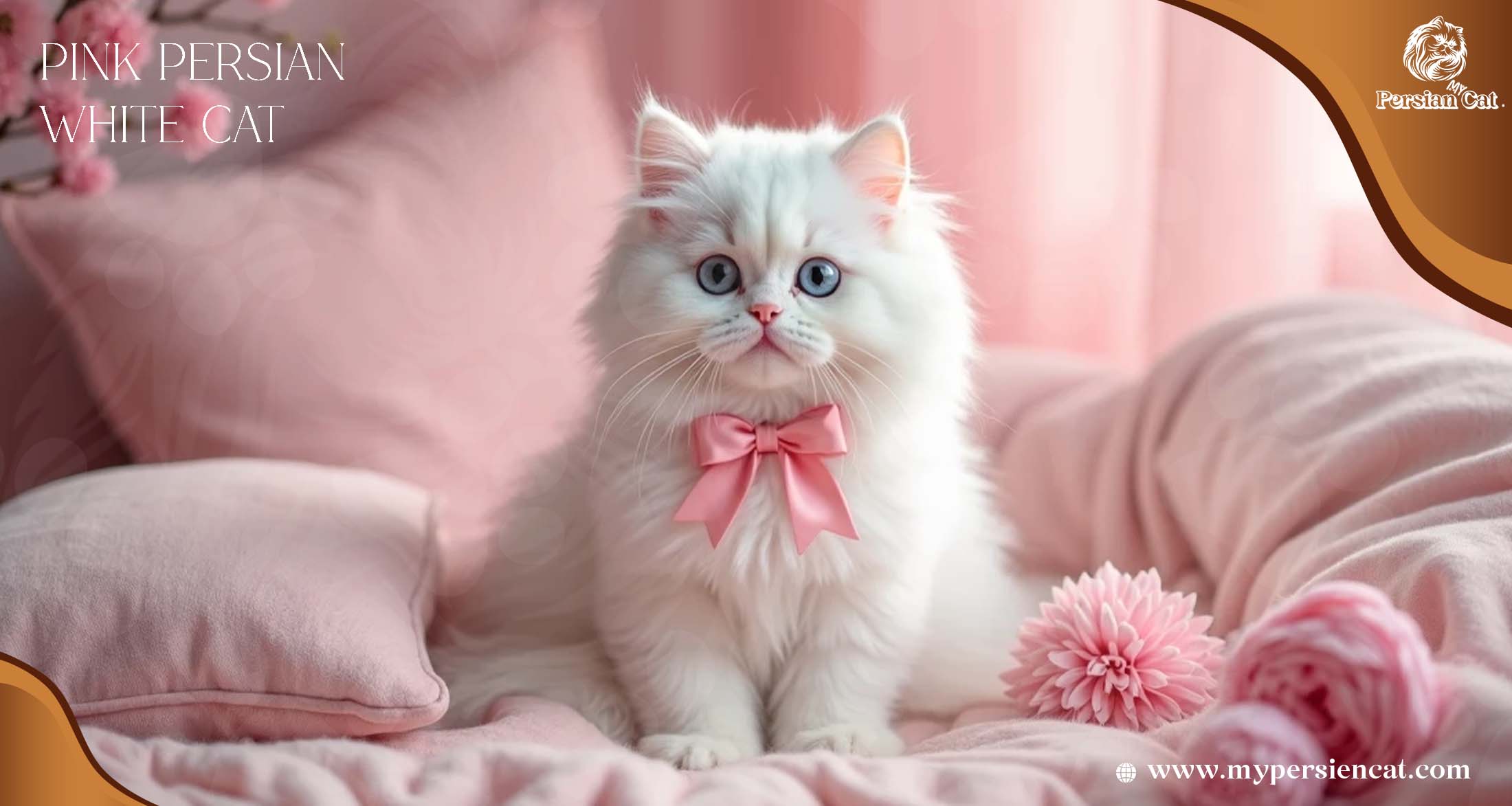 My Pink Persian White Cat Journey of Joy
