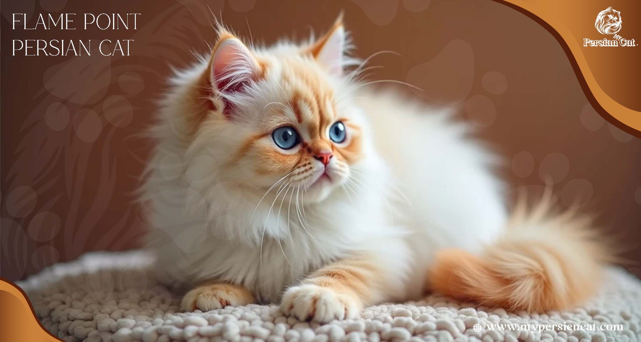 Flame Point Persian Cat Guide to Their Enigmatic Charm