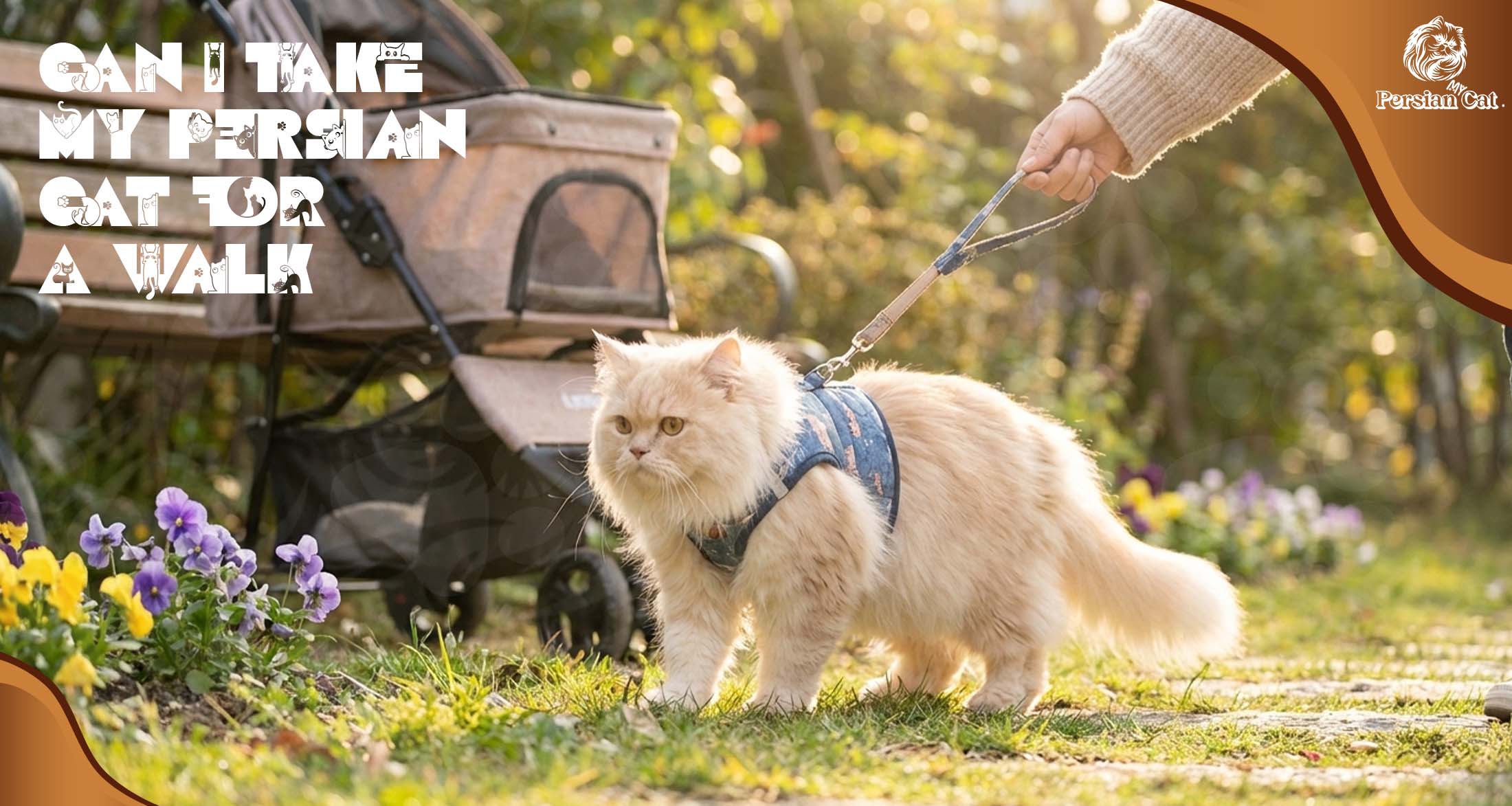 Can I Take My Persian Cat for a Walk Safely
