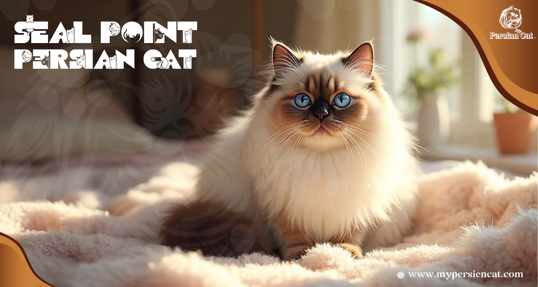 Seal Point Persian Cat Story of Calm Wonder